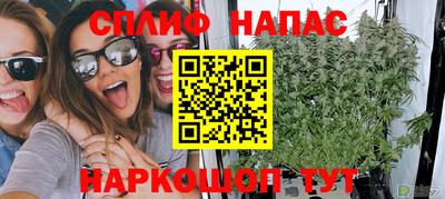 наркотики Новозыбков