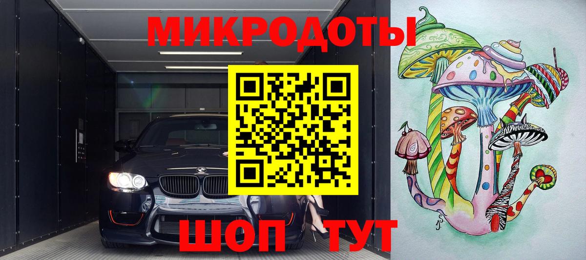 Псилоцибиновые грибы Psilocybe Рязань