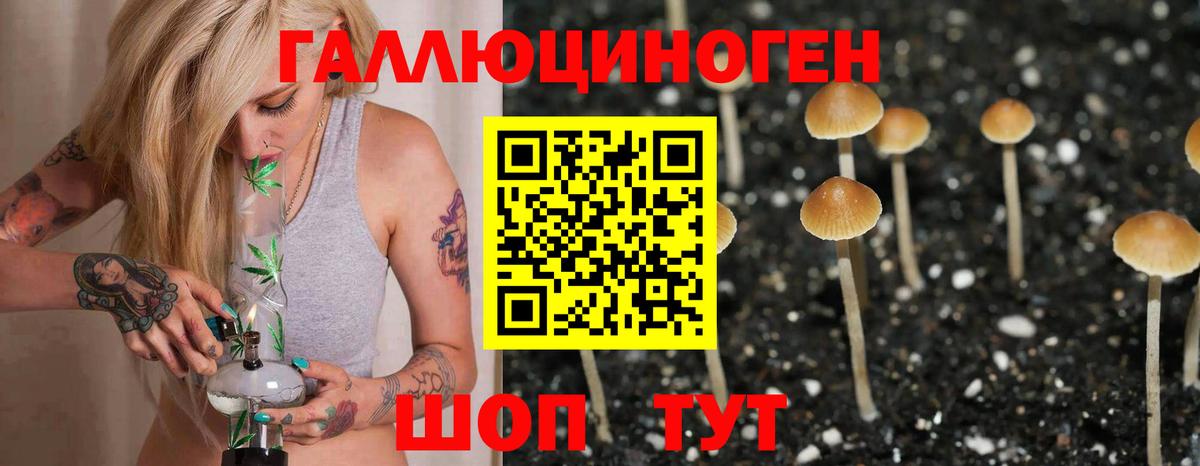 Галлюциногенные грибы Magic Shrooms  купить   Вход с VPN  Рязань  Галлюциногенные грибы Cubensis 